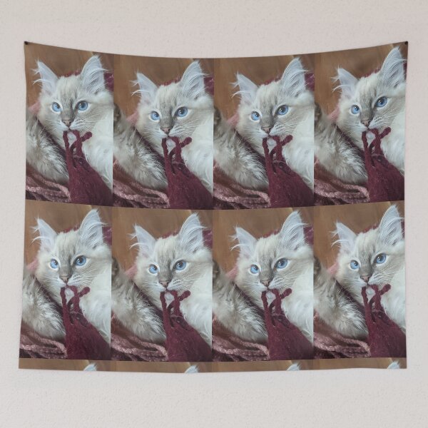 Item preview, Lynx ragdoll baby cat designed and sold by Fluffycat2020.