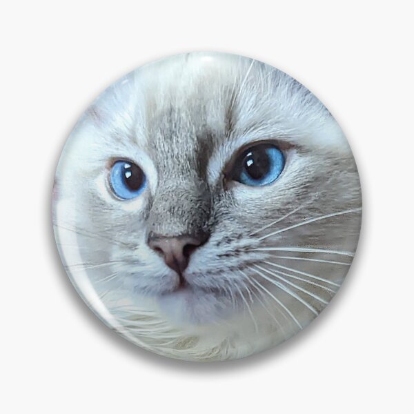 Item preview, Lynx ragdoll baby cat designed and sold by Fluffycat2020.