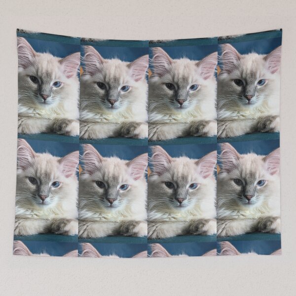 Item preview, Lynx ragdoll baby cat designed and sold by Fluffycat2020.