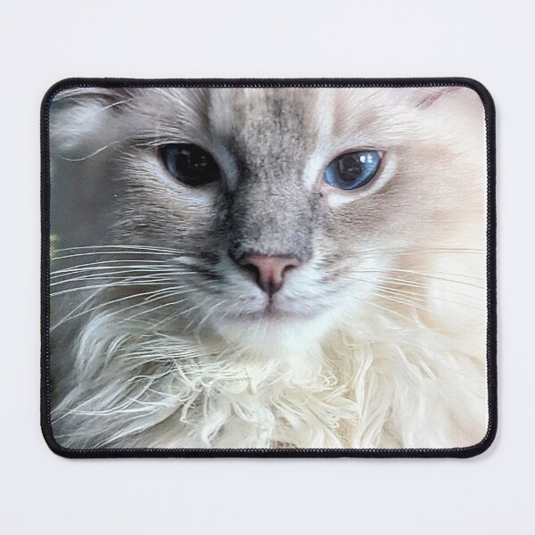 Item preview, Lynx ragdoll baby cat designed and sold by Fluffycat2020.