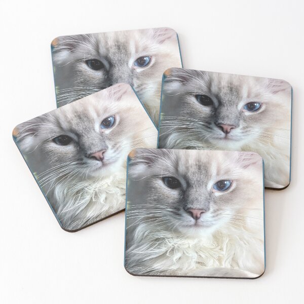 Item preview, Lynx ragdoll baby cat designed and sold by Fluffycat2020.