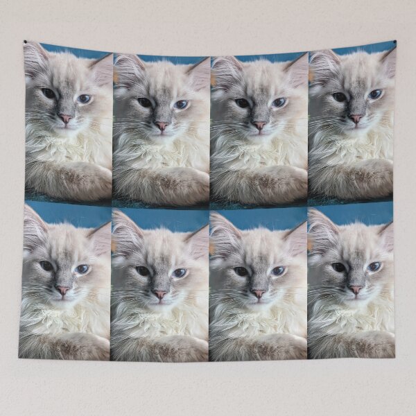 Item preview, Lynx ragdoll baby cat designed and sold by Fluffycat2020.