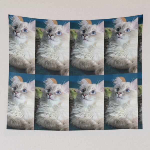 Item preview, Lynx ragdoll baby cat designed and sold by Fluffycat2020.