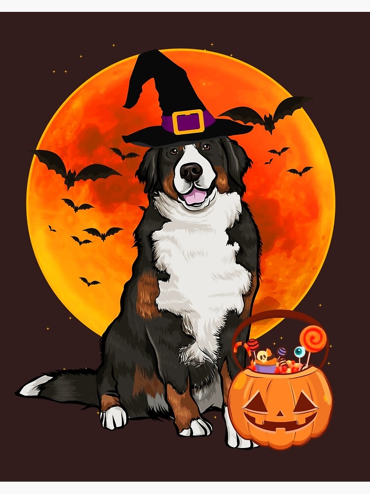 Bernese mountain 2024 dog halloween