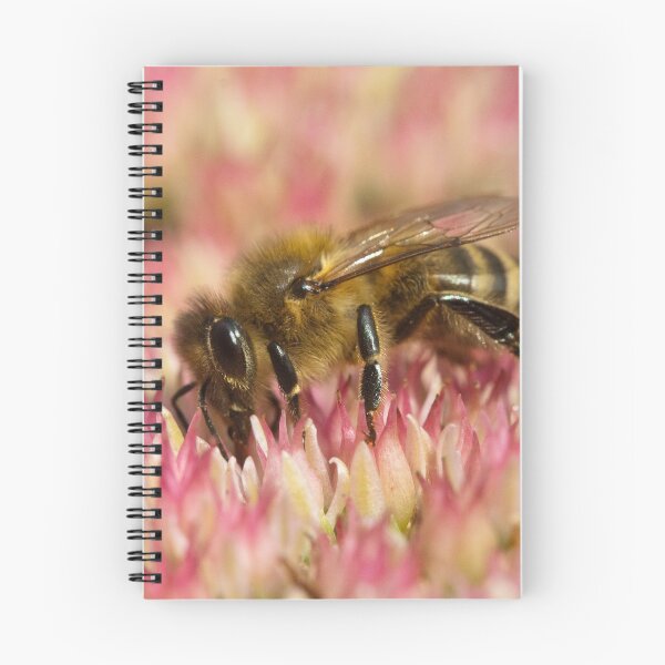 Item preview, Apis mellifera designed and sold by Mythos57.