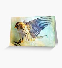 Flight I (All proceeds donated to Cancer Research) (9773 views as of 072618) Greeting Card