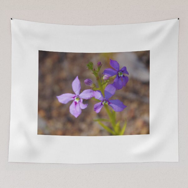 Item preview, Woodbridge Poison, Isotoma hypocrateriformis designed and sold by lezvee.