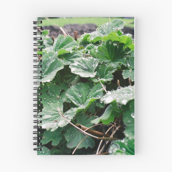 Item preview, Alchemilla vulgaris naturaleza disparar designed and sold by Ryan Ochoa.