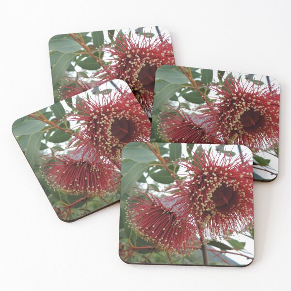 Item preview, Eucalyptus youngiana, commonly known as large-fruited mallee designed and sold by Marilyn Harris.