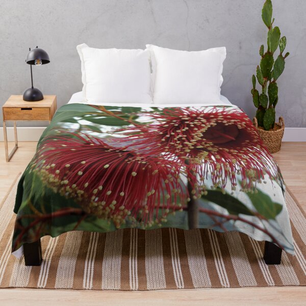 Item preview, Eucalyptus youngiana, commonly known as large-fruited mallee designed and sold by Marilyn Harris.