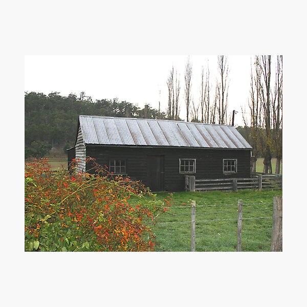 Item preview, Tasmanian Homestead designed and sold by Asoka.