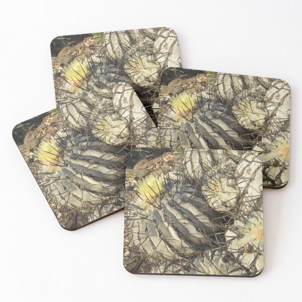 Item preview, Copiapoa dealbata designed and sold by Desertorum.