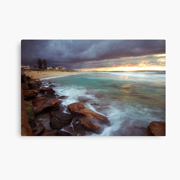 Chocolate and Cream Canvas Print