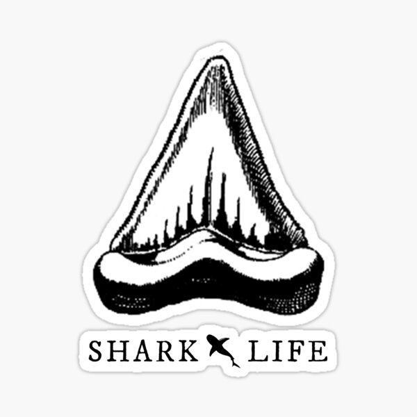 Shark Tooth Stickers Redbubble