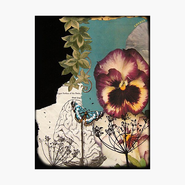 Emerge Photographic Print