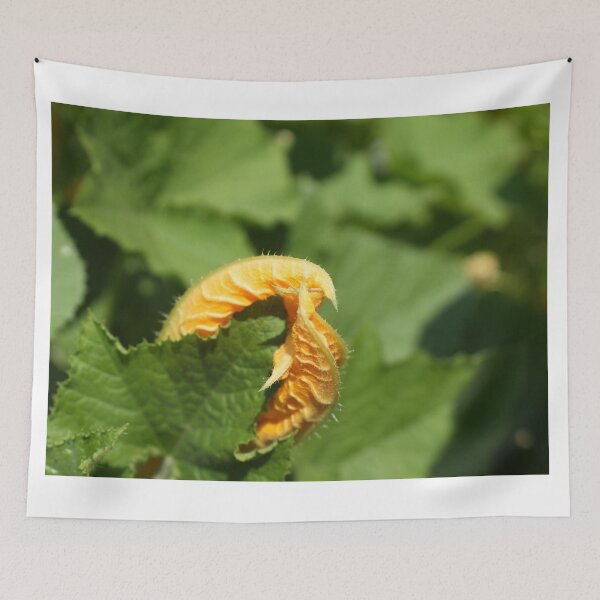 Item preview, The Pumpkin Patch Monster designed and sold by stephenralph.