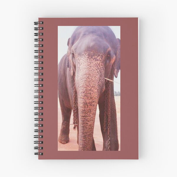 Item preview, Gran elefante designed and sold by Purnima2002.