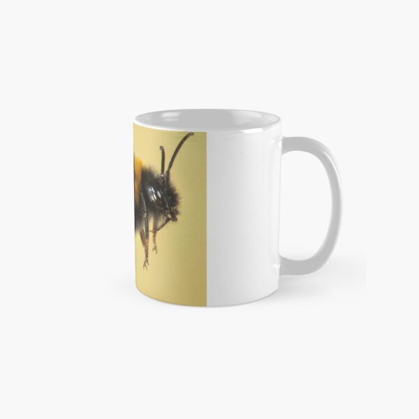 Untitled Classic Mug