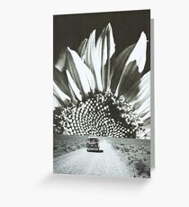 The sunflower Greeting Card