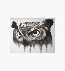 Owl Art Board