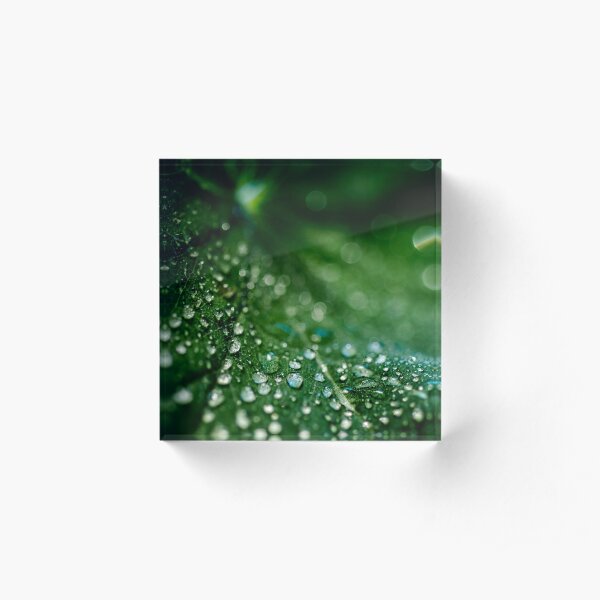 Leaf Droplets #3 Acrylic Block