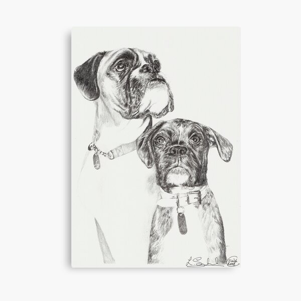 Two Boxers Canvas Print