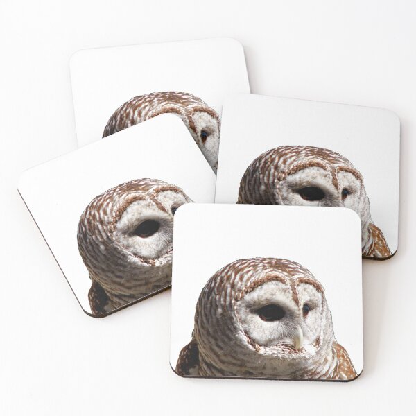 Item preview, Barred Owl #1 designed and sold by Artist4God.