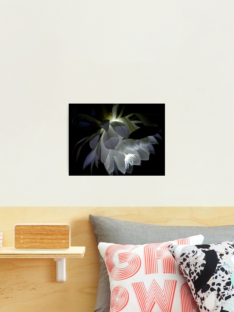 Thumbnail 2 of 3, Photographic Print, Etheria ... designed and sold by alvinsan9.