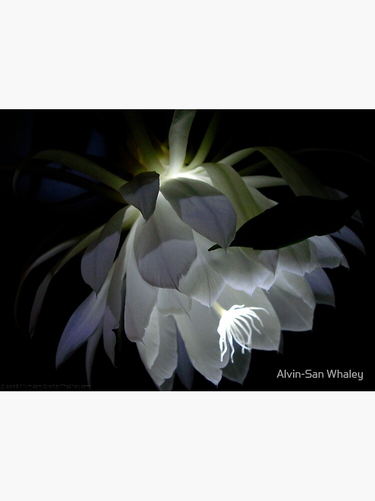 Thumbnail 3 of 3, Photographic Print, Etheria ... designed and sold by alvinsan9.