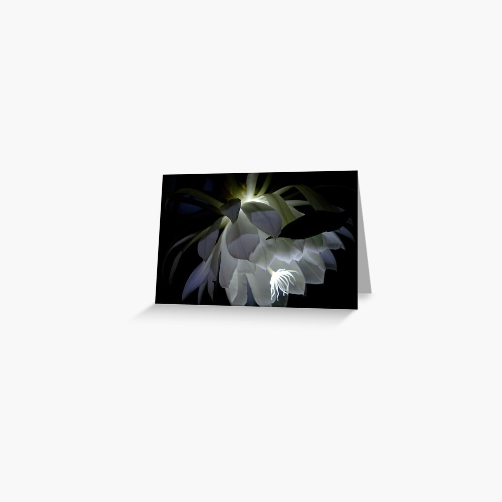 Item preview, Greeting Card designed and sold by alvinsan9.