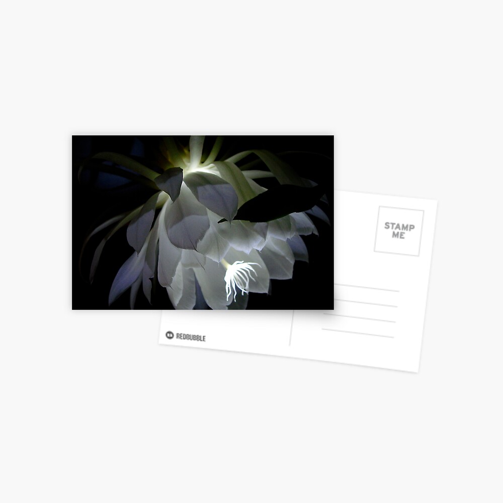 Item preview, Postcard designed and sold by alvinsan9.