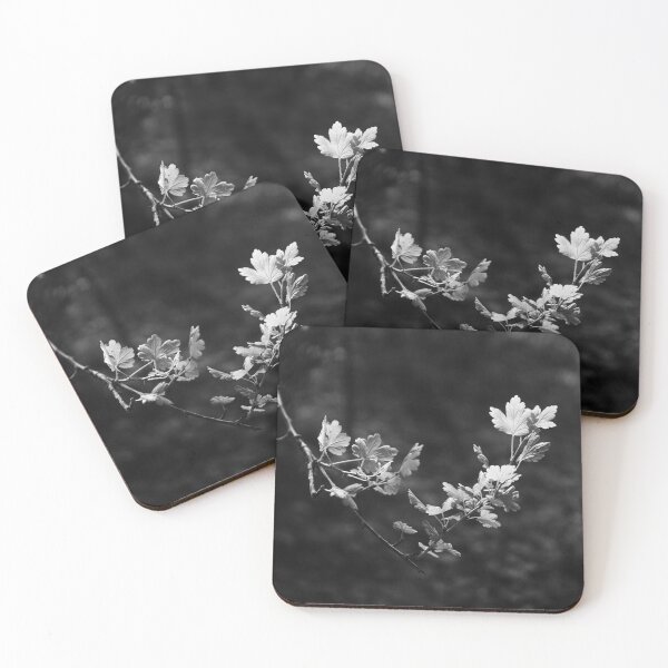 Item preview, Blackcurrant branch in black and white designed and sold by riku05830.