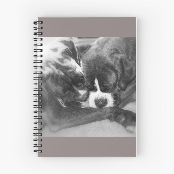 Item preview, Close & Together  -Boxer Dogs Series- designed and sold by Evita.