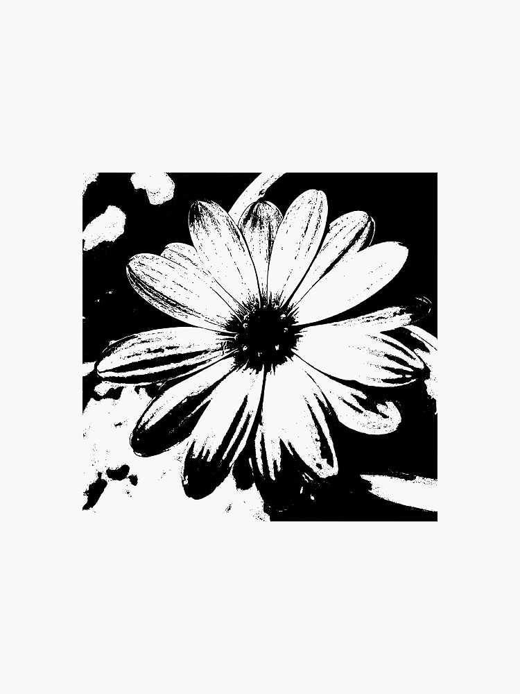 "Black and white Daisy " Sticker for Sale by ambrolen Redbubble