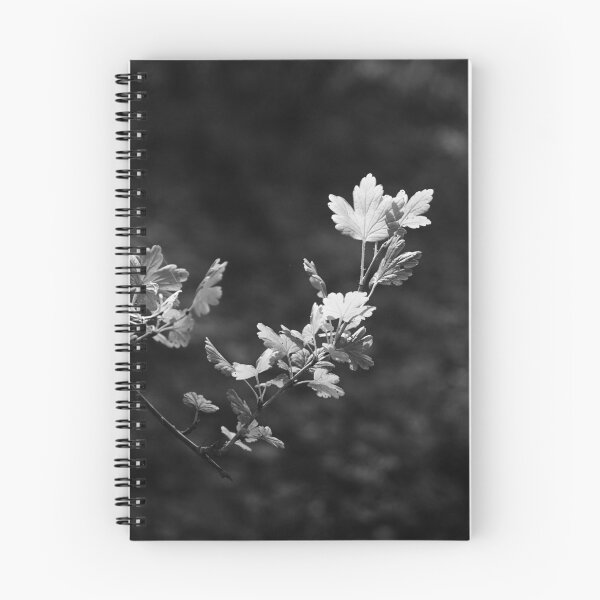 Item preview, Blackcurrant branch in black and white designed and sold by riku05830.