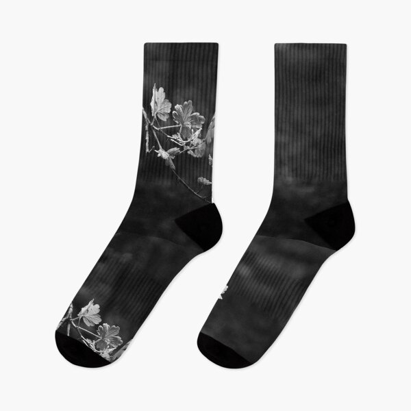 Item preview, Blackcurrant branch in black and white designed and sold by riku05830.
