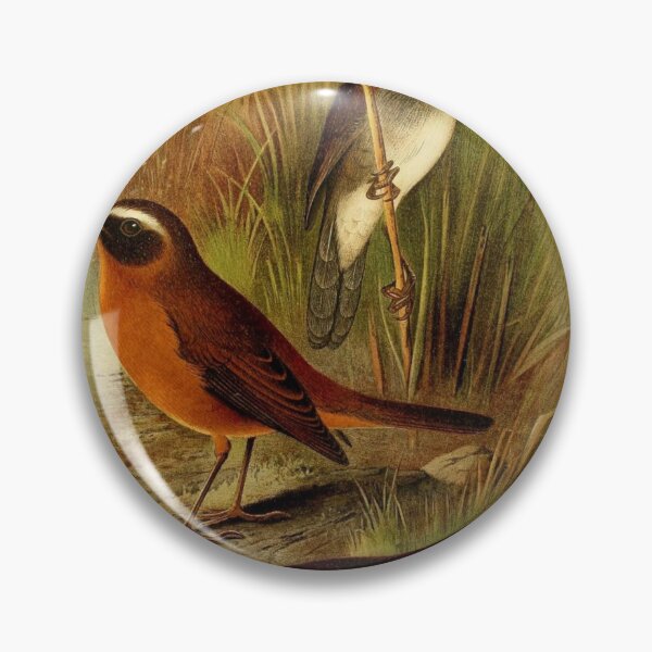 Item preview, Bamboo Warbler And Friends designed and sold by laguitan10.