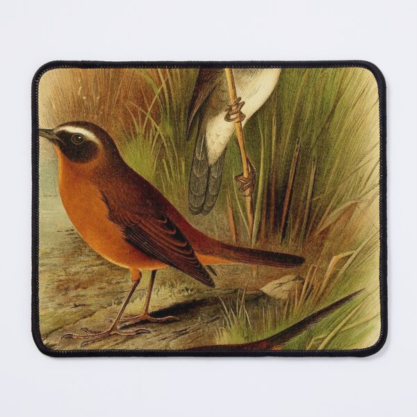 Item preview, Bamboo Warbler And Friends designed and sold by laguitan10.
