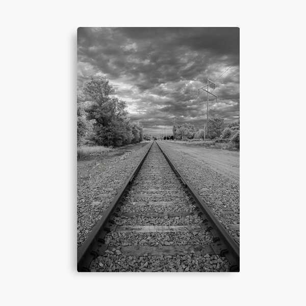 The Long Journey Canvas Print