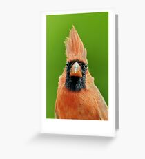 Cardinalis Greeting Card
