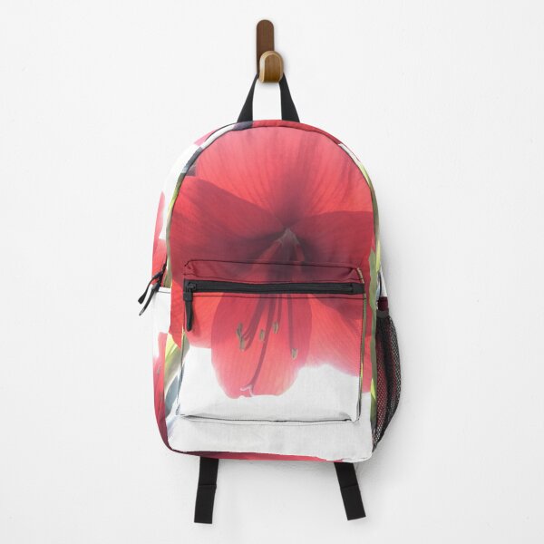 Item preview, Translucent Amaryllis designed and sold by Amanda1775.