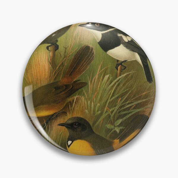Item preview, Four Birds With Black And Brown Feathers designed and sold by laguitan10.