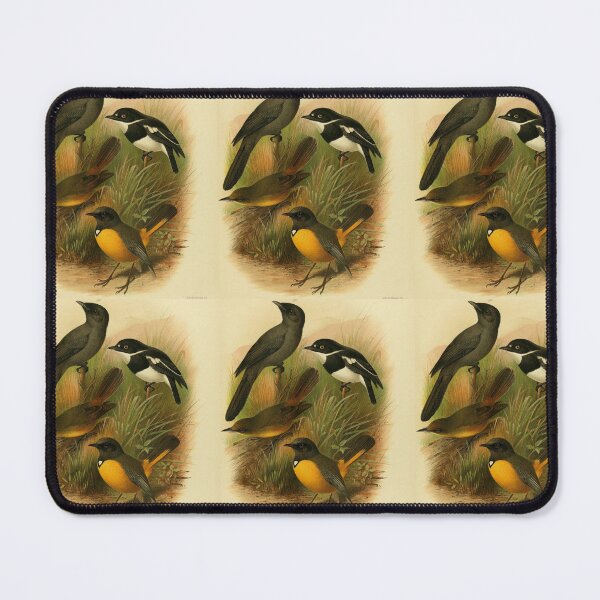 Item preview, Four Birds With Black And Brown Feathers designed and sold by laguitan10.