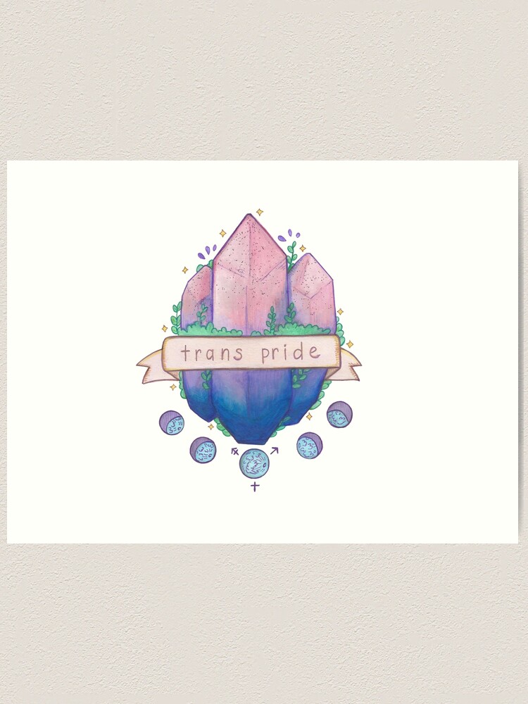 Trans pride  Art Board Print for Sale by Natalice