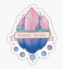 trans pride Sticker