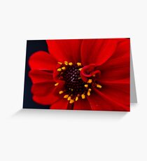 Fresh Greeting Card