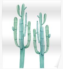 Trendy Cactus Green and White Desert Cacti Design Poster