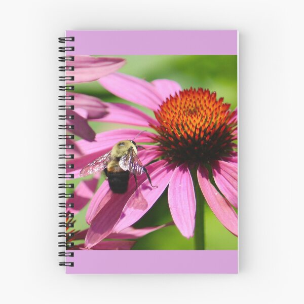 Item preview,  coneflower with  bee designed and sold by Beth Tidd.