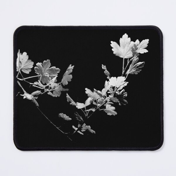 Item preview, Blackcurrant branch in black and white designed and sold by riku05830.