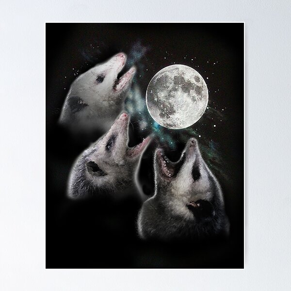 Vista previa del artículo con la obra «3 Opossum Moon», diseñado y vendido por evilkidart.